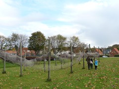 45-Roskilde bij Roskildefjord met vissers en vikingschepenmuseum