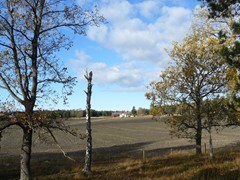 68-Varmlandsnas  zicht  vanaf Jarnaldusgravfalt